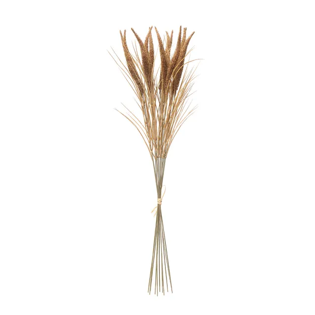 Sia Home Bouquets Artificiels Pampa 12 tiges 80 cm marron