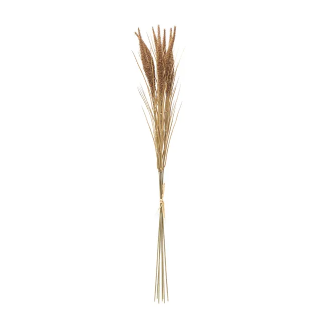 Sia Home Bouquet Pampa 7 tiges Marron 80 cm