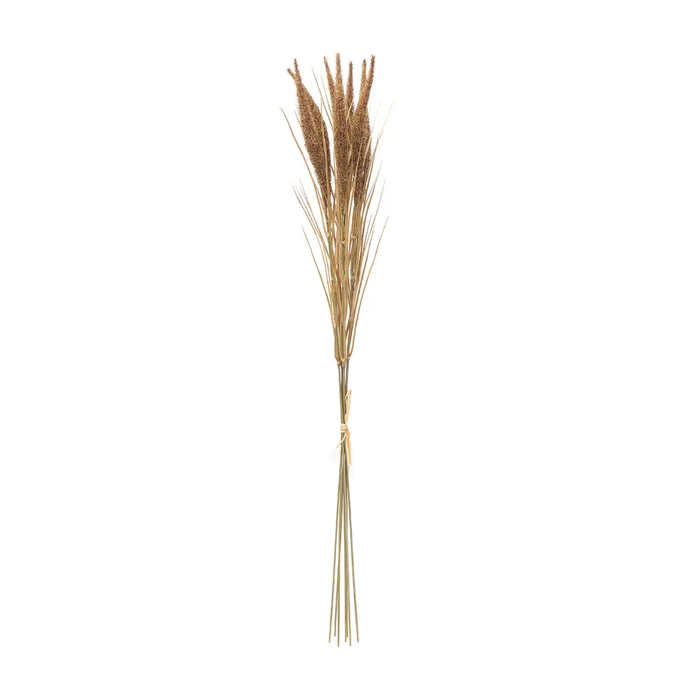 Sia Home Bouquet Pampa 7 tiges Marron 80 cm