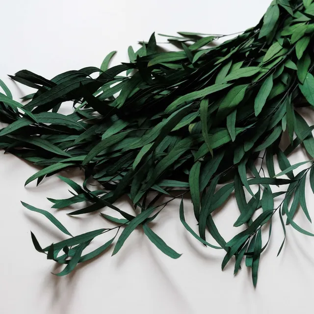Flowrette Fleurs stabilisées Eucalyptus Nicoli botte verte x1