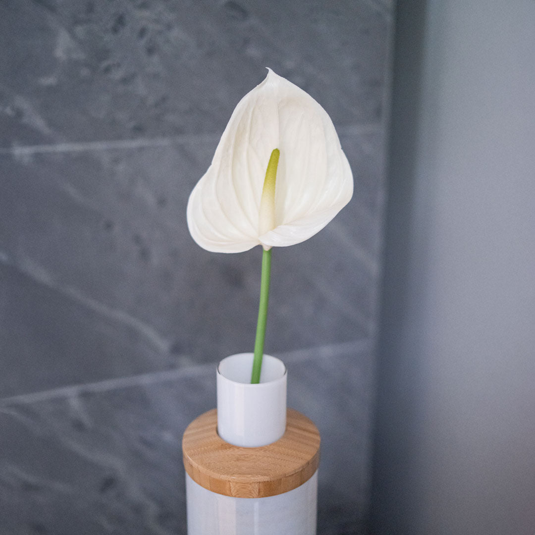 Flowrette Anthurium crème fleur artificielle tige x1 Real Touch