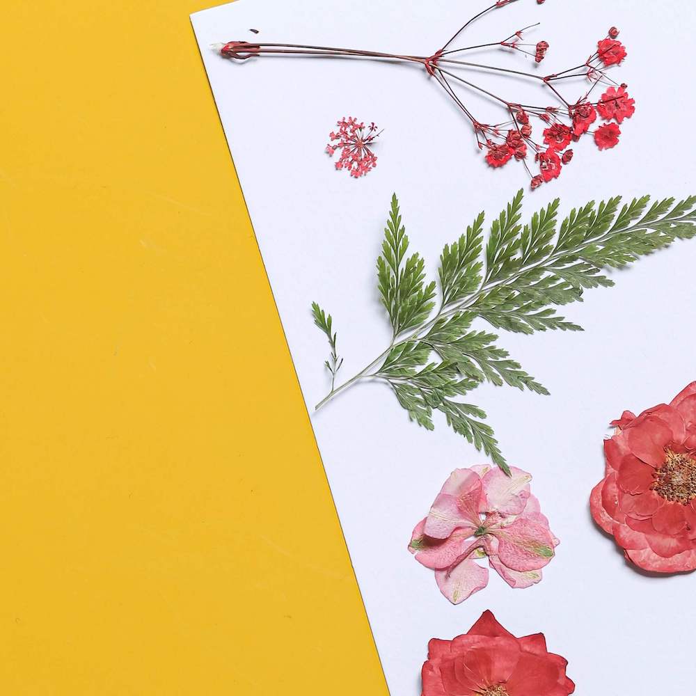 Flowrette pochette fleurs pressées rouges kit DIY