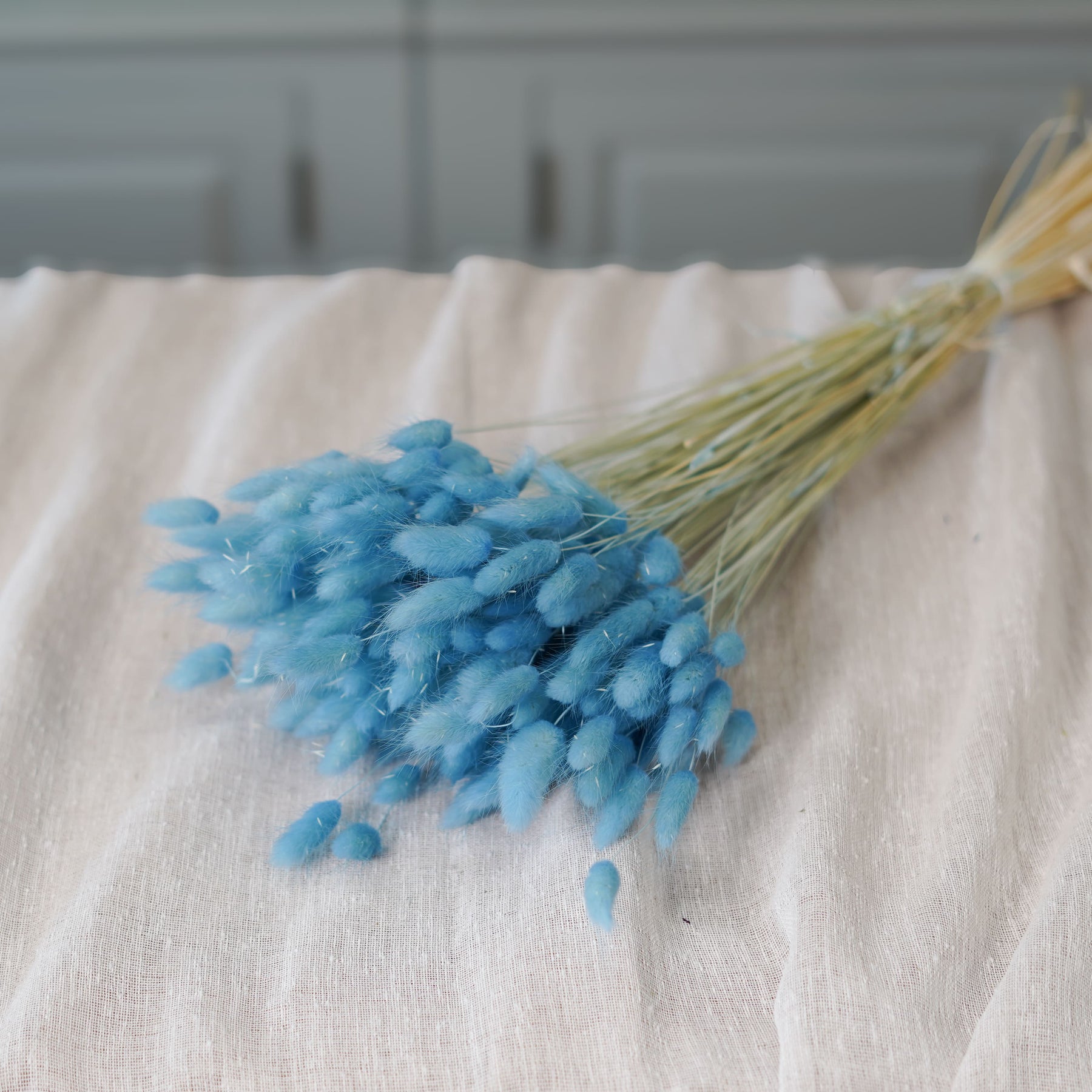 Flowrette lagurus bleu ciel séché botte queue de lièvre
