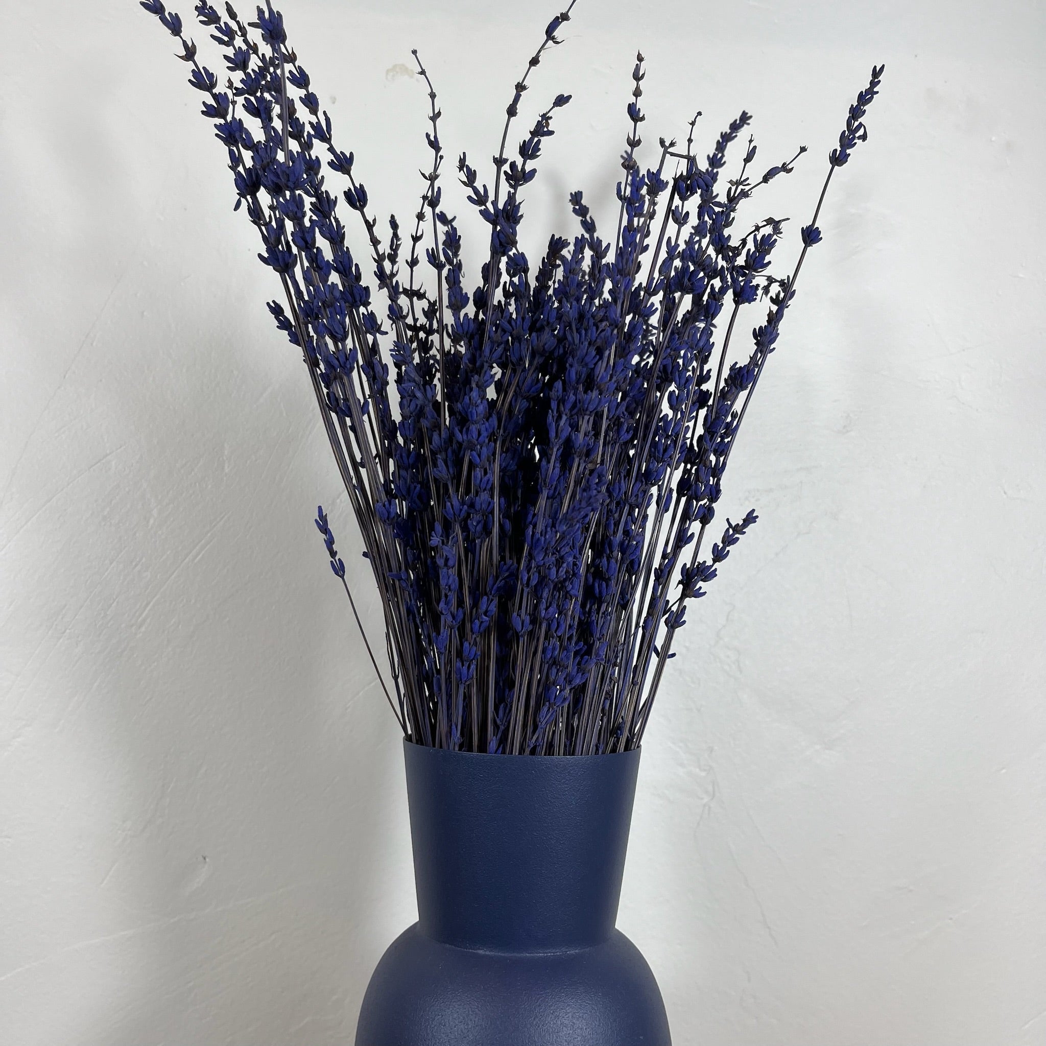 Ateliers Ouchamp Lavande botte stabilisée bleue 35 cm parfumée