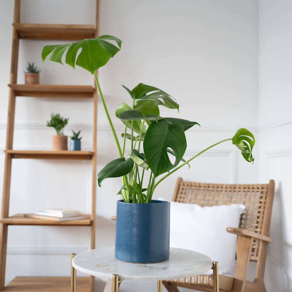 Flowrette Cache-pot céramique bleu grès mat fait main