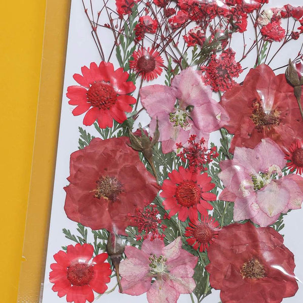 Flowrette Pochette fleurs pressées rouges loisir créatif