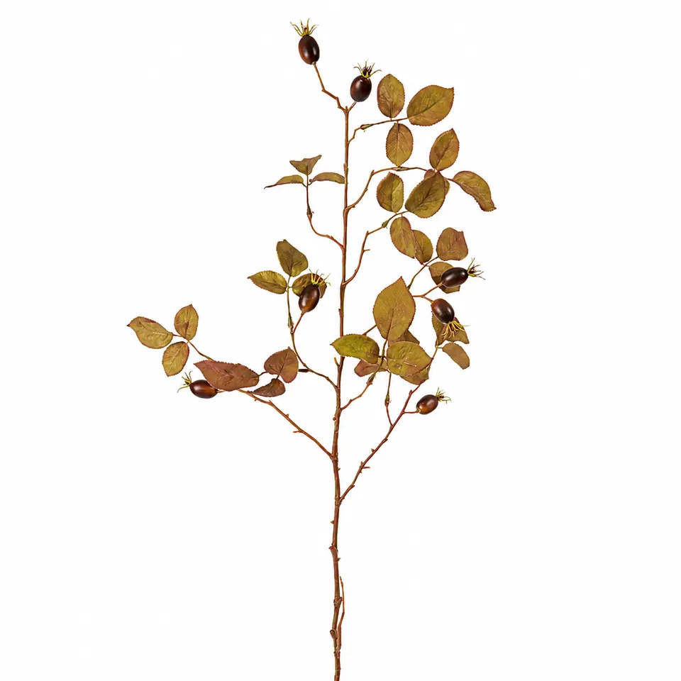 Sia Home Eglantier feuillage artificiel marron 100 cm