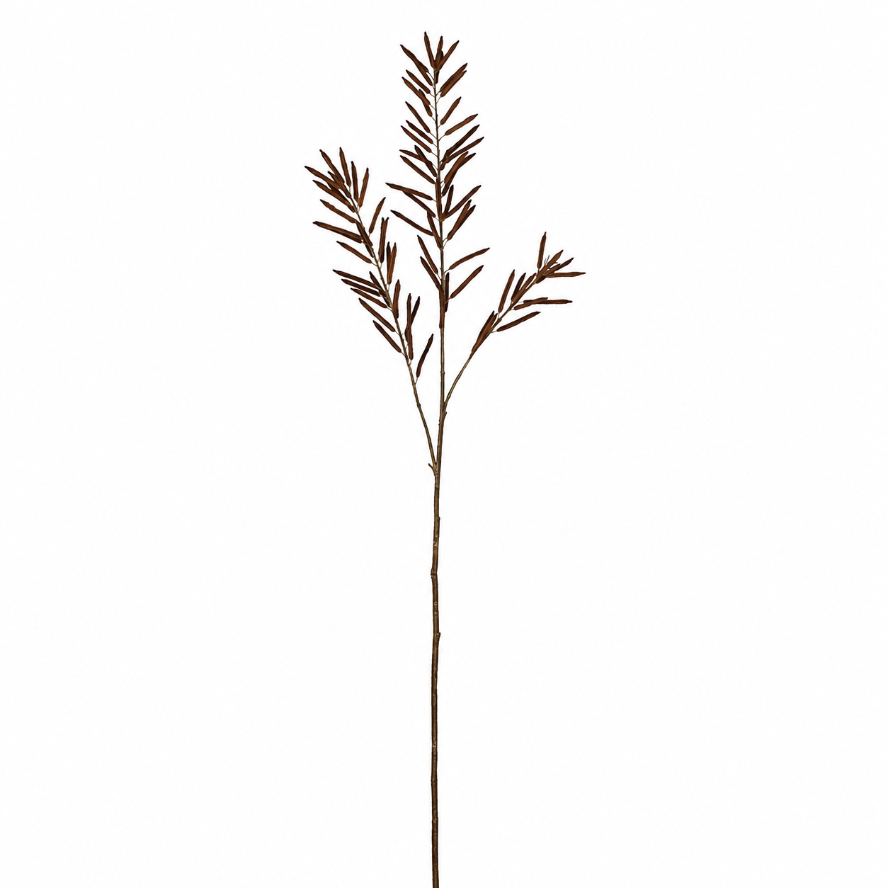 Sia Home Feuillage d'Haricots 114 cm tige artificielle marron
