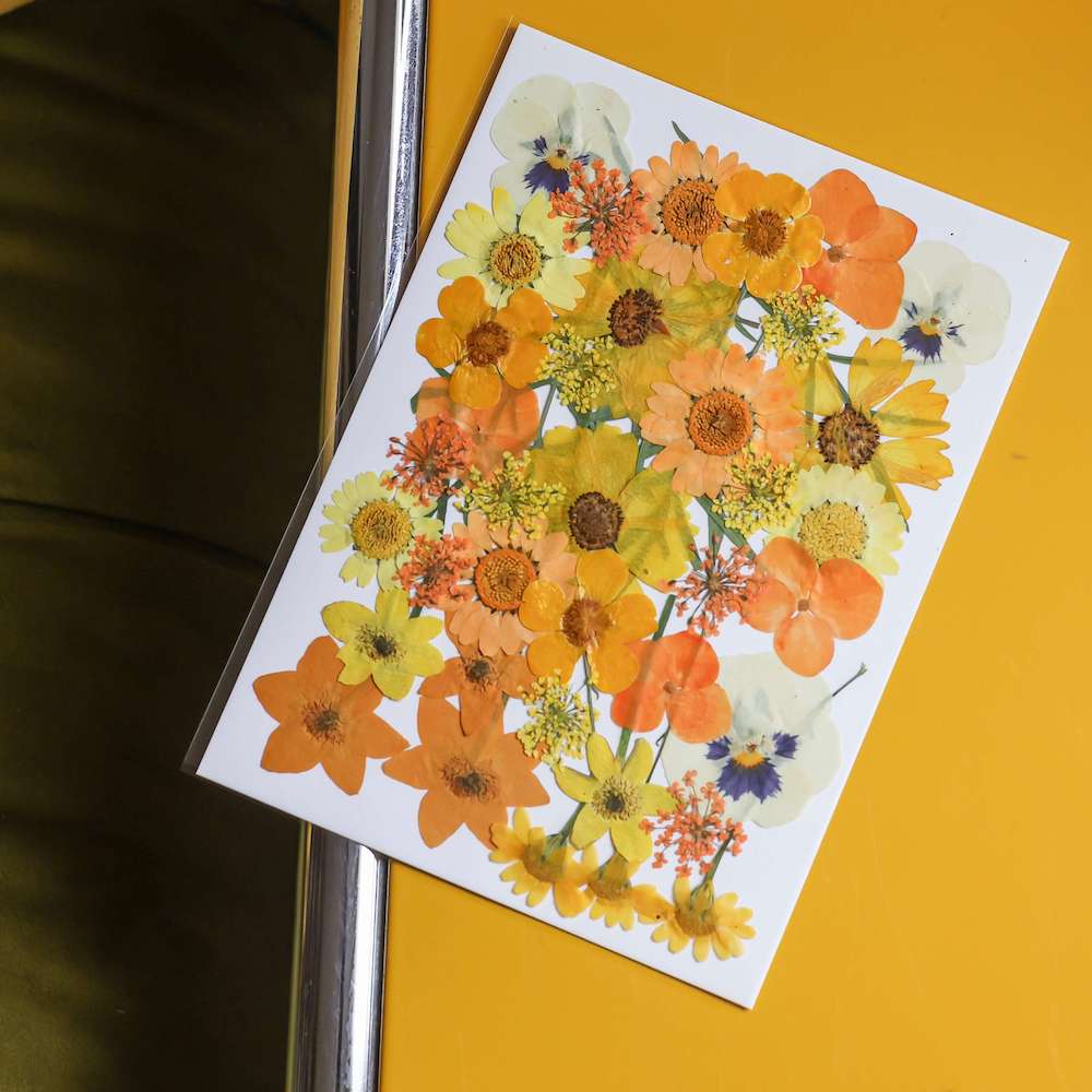 Flowrette Pochette fleurs pressées jaunes kit herbier DIY