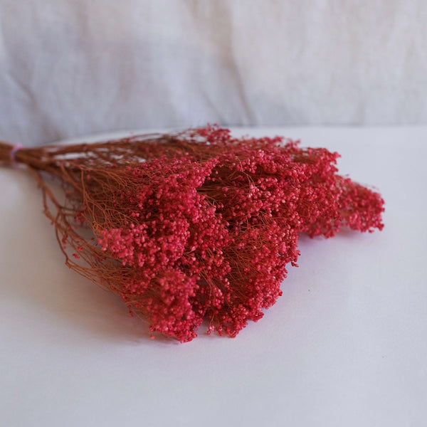 Flowrette Broom Bloom botte fleurs séchées rose