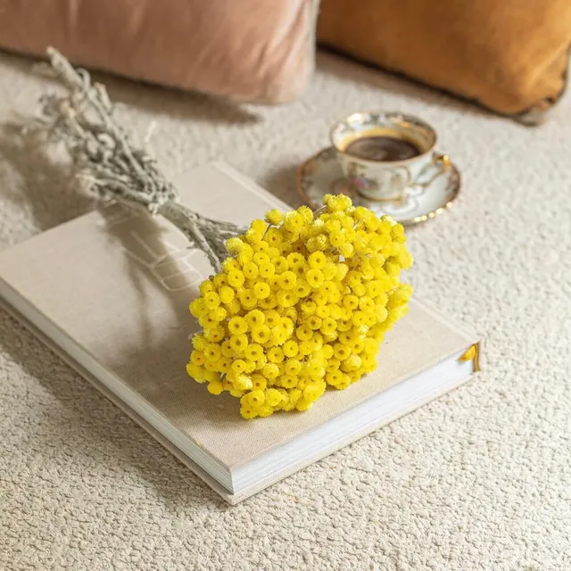 Flowrette botte immortelle jaune x1 fleur séchée