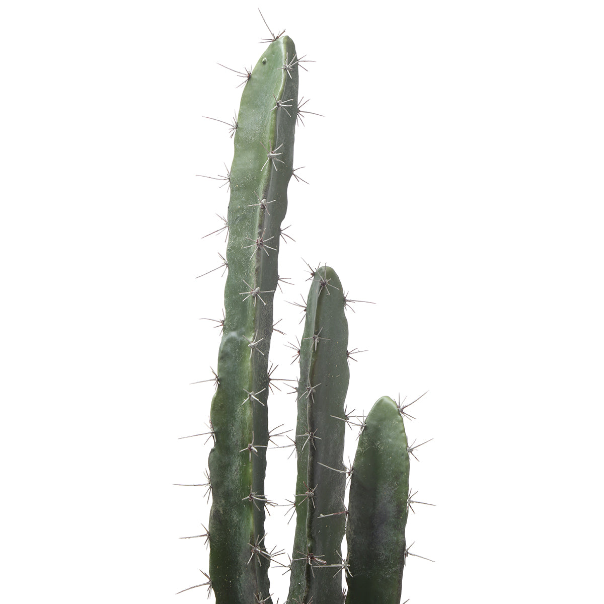Sia Home Plantes en Pot Cactus 80 cm plante verte pot gris