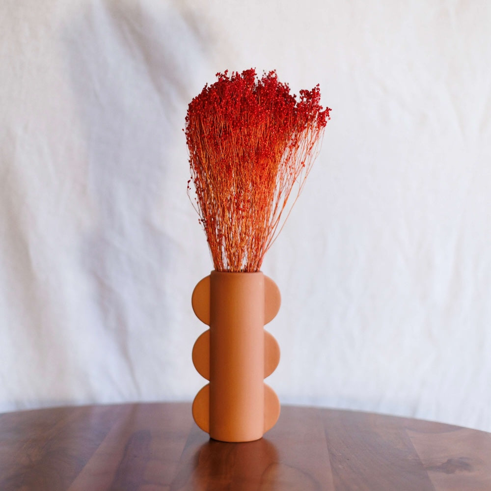 Flowrette Broom Bloom botte rouge x1 fleur séchée