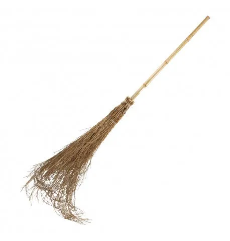 Feuillazur Rungis Produits de saison balai sorcière bambou