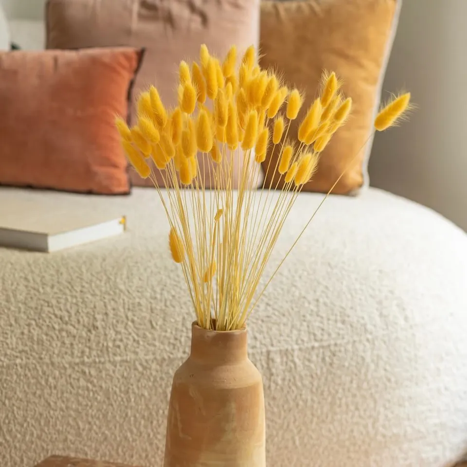 Flowrette Lagurus botte fleurs séchées jaune clair x1