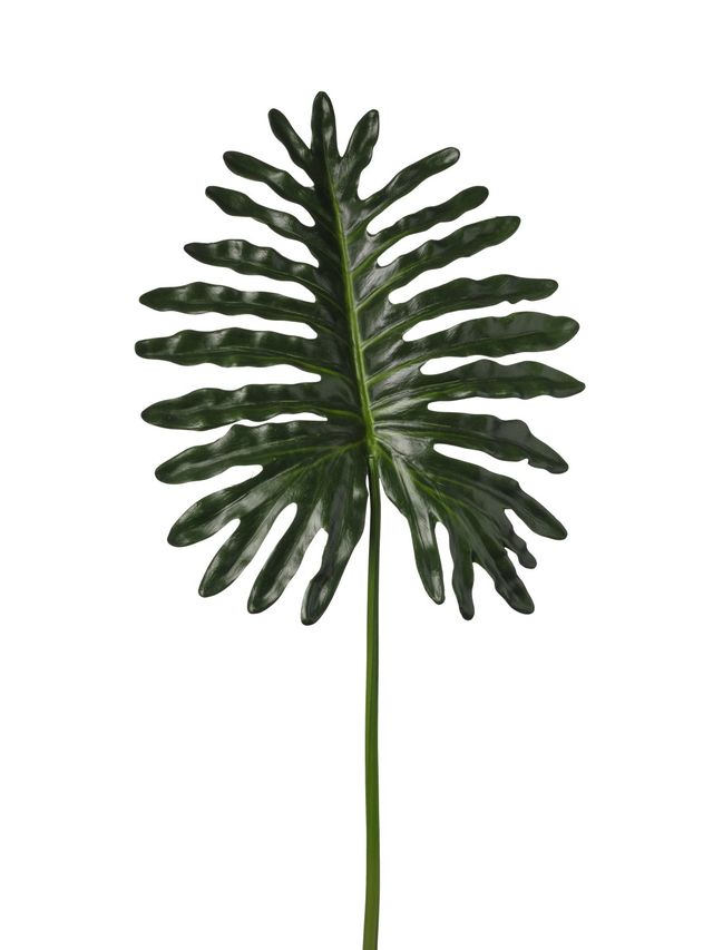 Feuillazur Rungis Philodendron 46x107cm feuillage vert