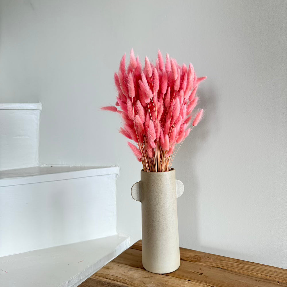 Flowrette lagurus vieux rose botte séchée x1 douce