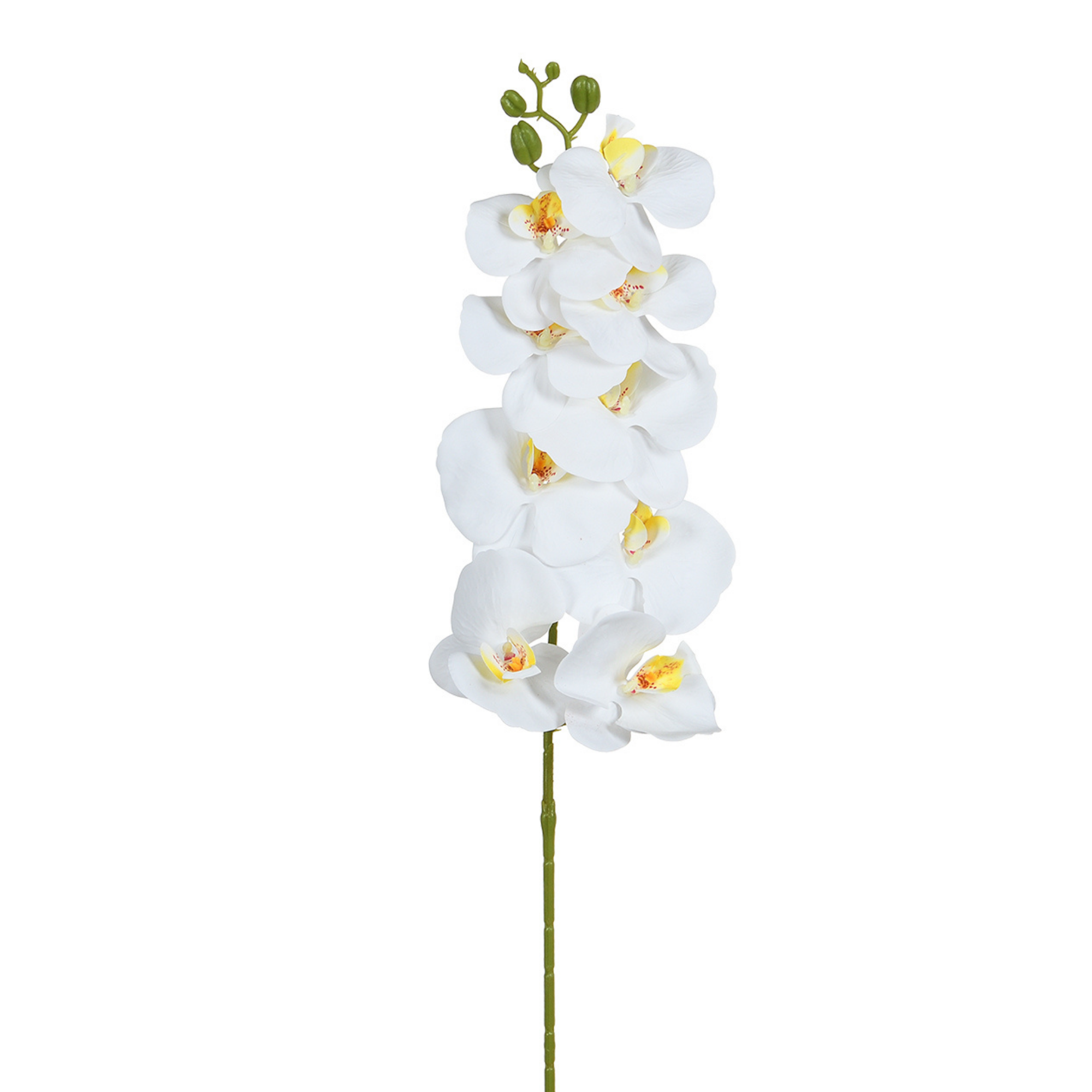 Sia Home Tiges de Fleurs Orchidée 90 cm tige blanc et jaune