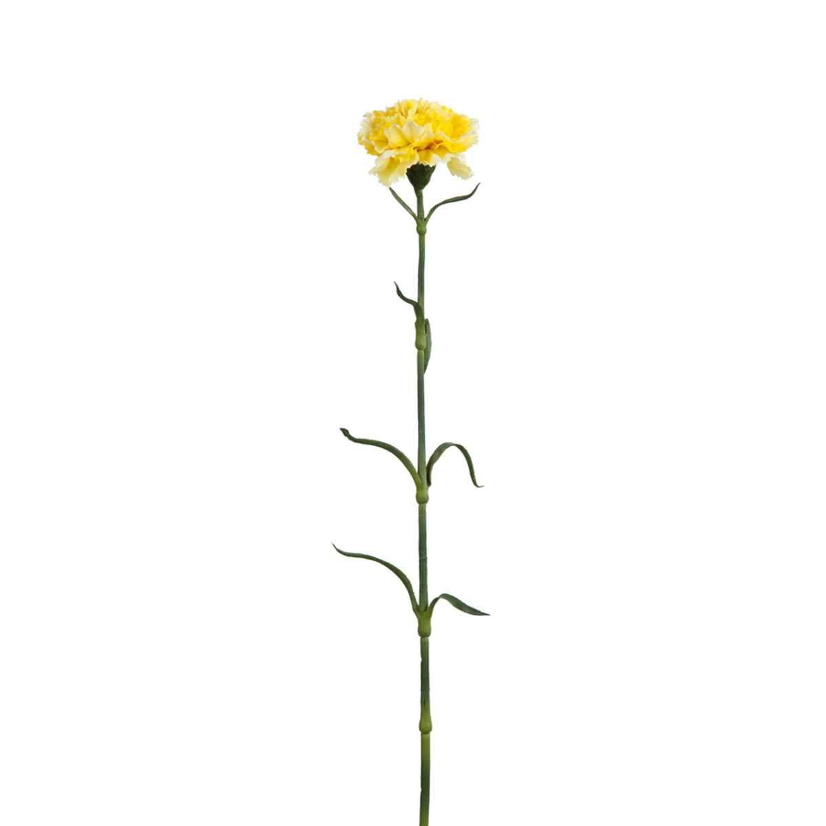 Sia Home Tiges tige d'œillet crème 55 cm artificielle