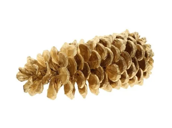 Feuillazur Rungis pomme de pin doré déco Noël 25cm