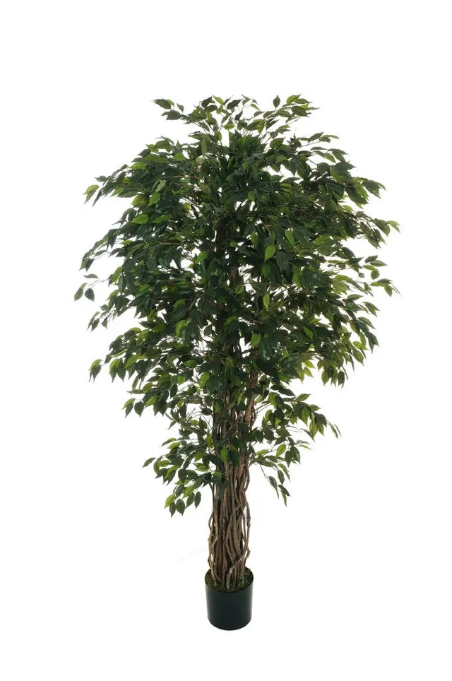 Feuillazur Rungis Ficus plante artificielle verte 190 cm sans entretien
