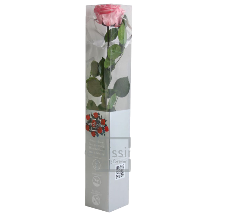 Feuillazur Rungis Rose stabilisée premium tige rouge 54 cm