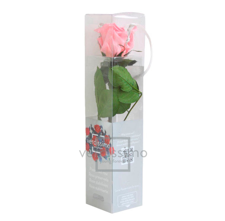 Feuillazur Rungis Mini Rose Stabilisée Rouge 26cm